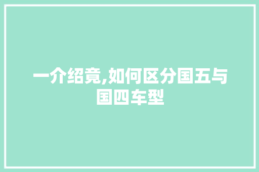 一介绍竟,如何区分国五与国四车型