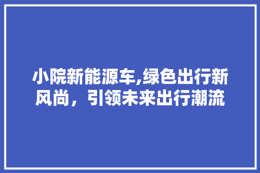 小院新能源车,绿色出行新风尚，引领未来出行潮流