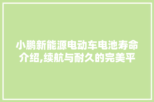 小鹏新能源电动车电池寿命介绍,续航与耐久的完美平衡