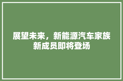 展望未来，新能源汽车家族新成员即将登场