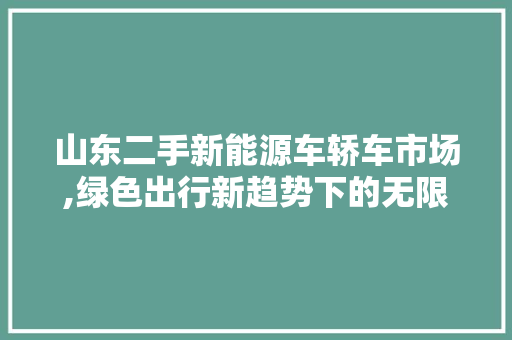 山东二手新能源车轿车市场,绿色出行新趋势下的无限潜力