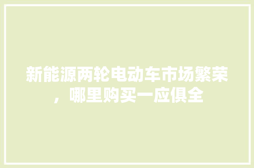 新能源两轮电动车市场繁荣，哪里购买一应俱全