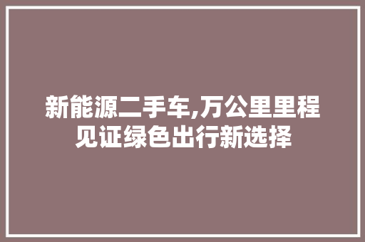 新能源二手车,万公里里程见证绿色出行新选择