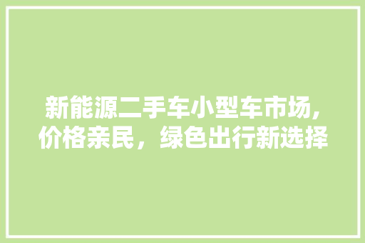 新能源二手车小型车市场,价格亲民，绿色出行新选择