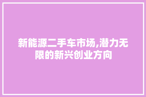 新能源二手车市场,潜力无限的新兴创业方向