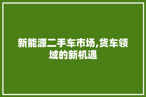 新能源二手车市场,货车领域的新机遇