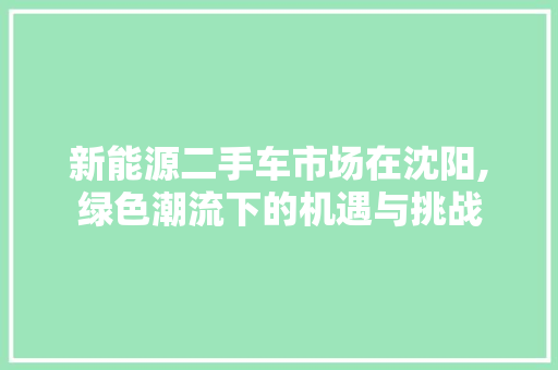 新能源二手车市场在沈阳,绿色潮流下的机遇与挑战