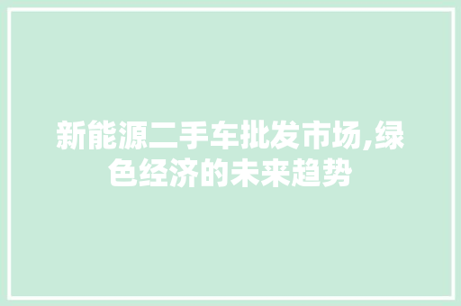 新能源二手车批发市场,绿色经济的未来趋势