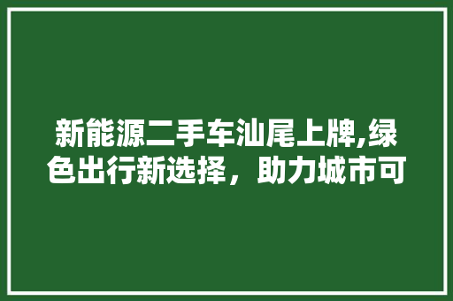 新能源二手车汕尾上牌,绿色出行新选择，助力城市可持续发展