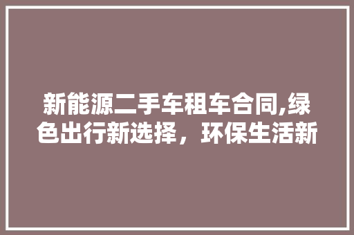 新能源二手车租车合同,绿色出行新选择，环保生活新篇章