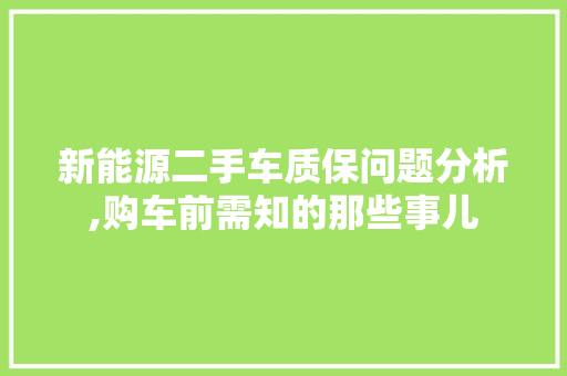 新能源二手车质保问题分析,购车前需知的那些事儿