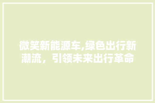 微笑新能源车,绿色出行新潮流，引领未来出行革命