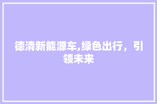 德清新能源车,绿色出行，引领未来
