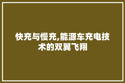快充与慢充,能源车充电技术的双翼飞翔