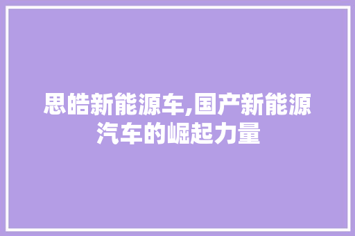 思皓新能源车,国产新能源汽车的崛起力量