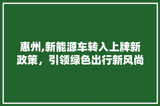 惠州,新能源车转入上牌新政策，引领绿色出行新风尚