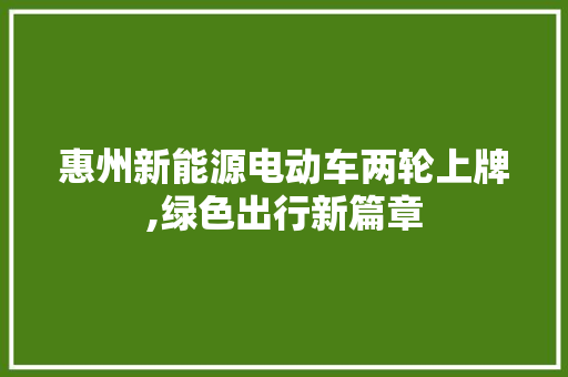惠州新能源电动车两轮上牌,绿色出行新篇章