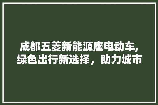 成都五菱新能源座电动车,绿色出行新选择，助力城市环保 自动驾驶