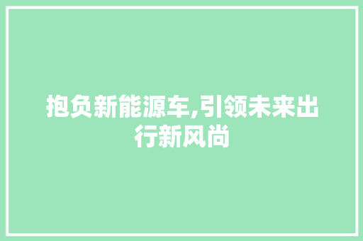 抱负新能源车,引领未来出行新风尚 车联网技术
