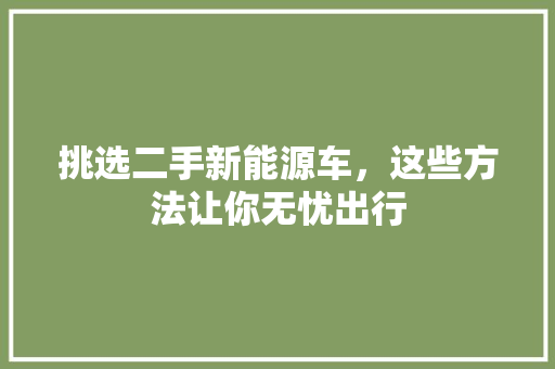 挑选二手新能源车，这些方法让你无忧出行