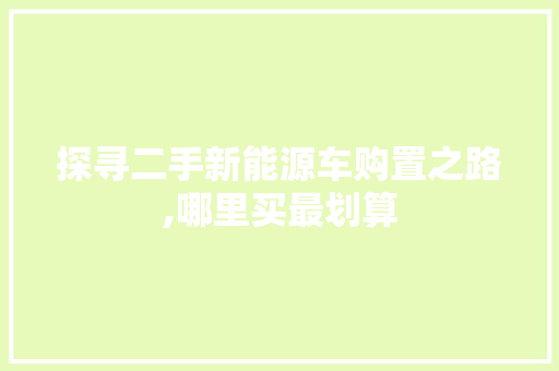 探寻二手新能源车购置之路,哪里买最划算