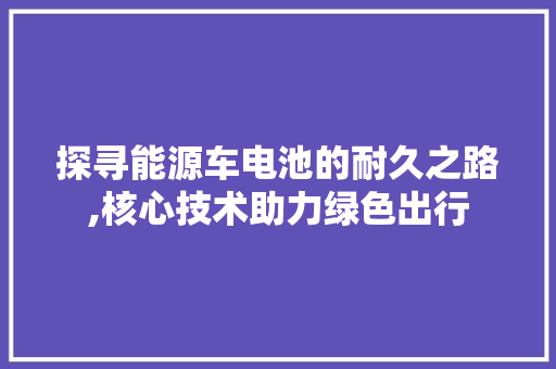 探寻能源车电池的耐久之路,核心技术助力绿色出行