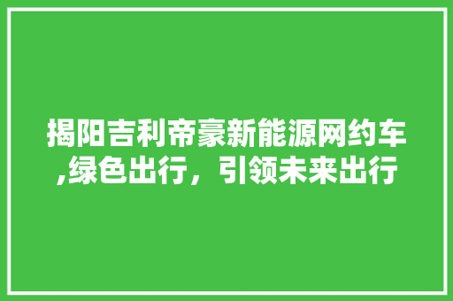 揭阳吉利帝豪新能源网约车,绿色出行，引领未来出行新风尚 车型评测
