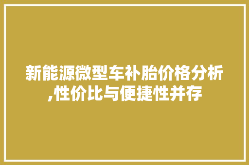新能源微型车补胎价格分析,性价比与便捷性并存