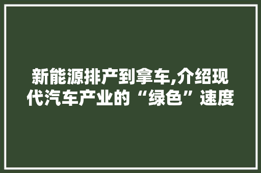新能源排产到拿车,介绍现代汽车产业的“绿色”速度与激情