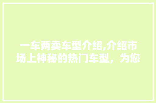 一车两卖车型介绍,介绍市场上神秘的热门车型，为您购车提供有力参考 智能驾驶