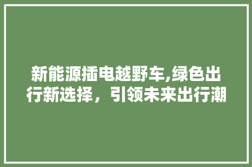 新能源插电越野车,绿色出行新选择，引领未来出行潮流