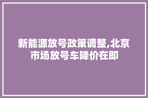 新能源放号政策调整,北京市场放号车降价在即
