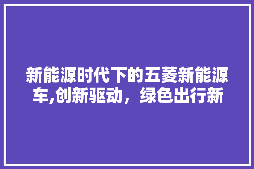新能源时代下的五菱新能源车,创新驱动，绿色出行新选择