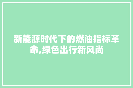 新能源时代下的燃油指标革命,绿色出行新风尚