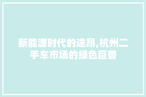 新能源时代的途昂,杭州二手车市场的绿色巨兽