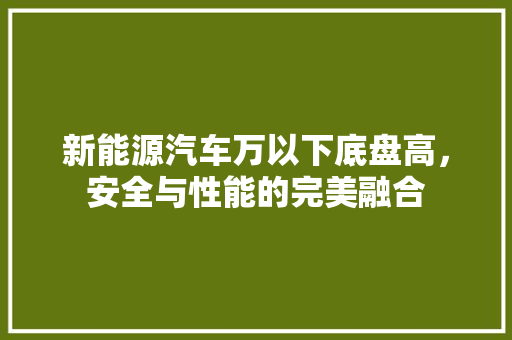 新能源汽车万以下底盘高，安全与性能的完美融合