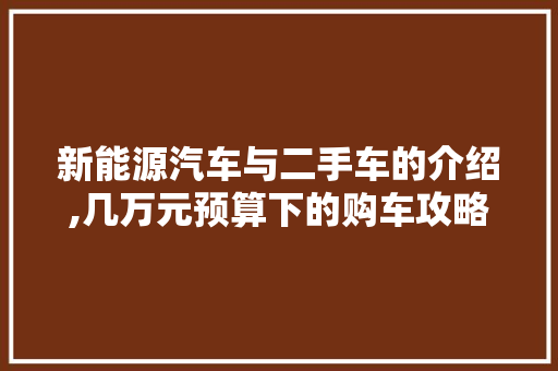 新能源汽车与二手车的介绍,几万元预算下的购车攻略