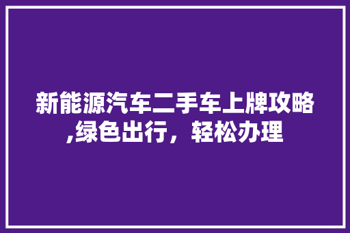 新能源汽车二手车上牌攻略,绿色出行，轻松办理