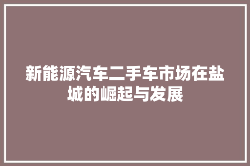 新能源汽车二手车市场在盐城的崛起与发展 汽车保养
