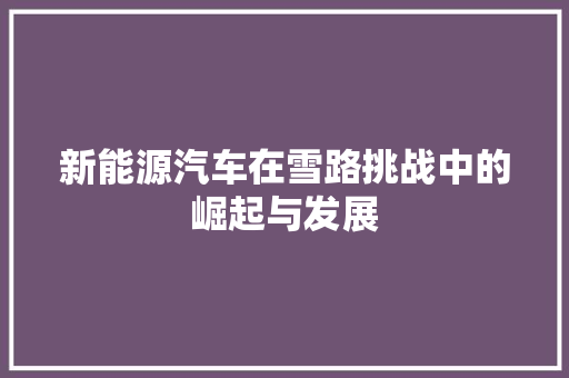 新能源汽车在雪路挑战中的崛起与发展