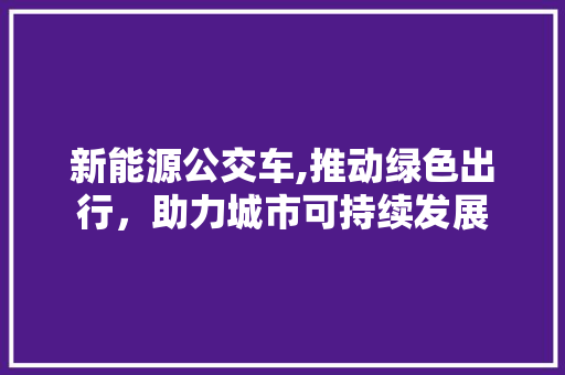 新能源公交车,推动绿色出行，助力城市可持续发展