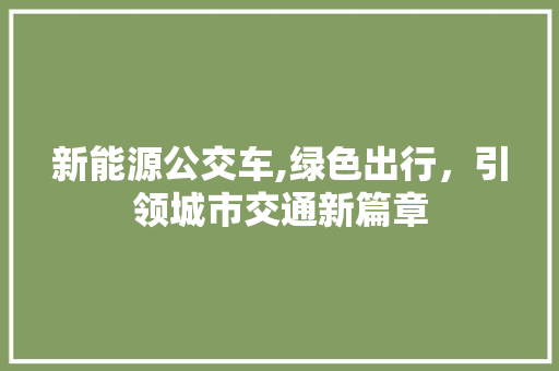 新能源公交车,绿色出行，引领城市交通新篇章
