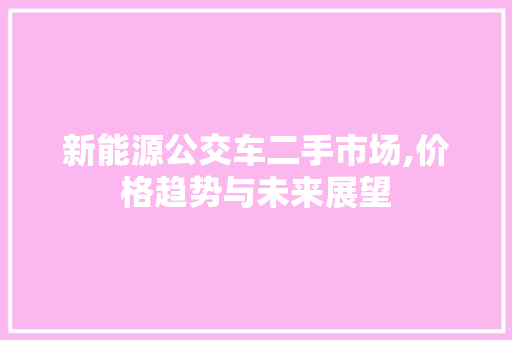 新能源公交车二手市场,价格趋势与未来展望