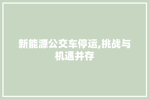 新能源公交车停运,挑战与机遇并存