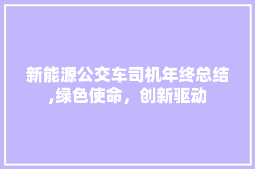 新能源公交车司机年终总结,绿色使命，创新驱动