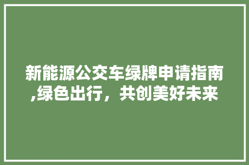 新能源公交车绿牌申请指南,绿色出行，共创美好未来