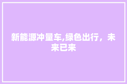 新能源冲量车,绿色出行，未来已来