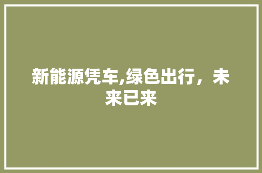新能源凭车,绿色出行，未来已来