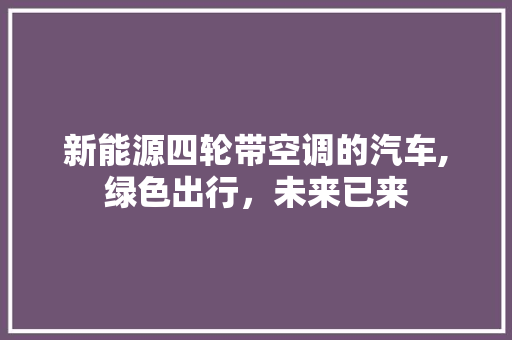 新能源四轮带空调的汽车,绿色出行，未来已来
