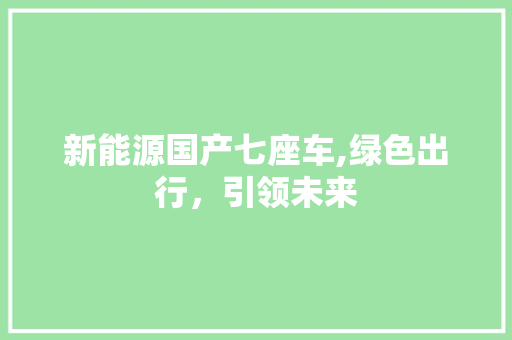 新能源国产七座车,绿色出行，引领未来